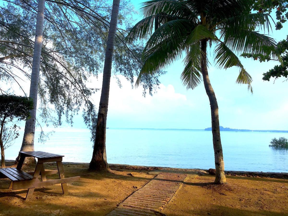 12Haven Stunning Seaside Luxury Villa Pd With Kids Pool พอร์ตดิ๊กสัน ภายนอก รูปภาพ